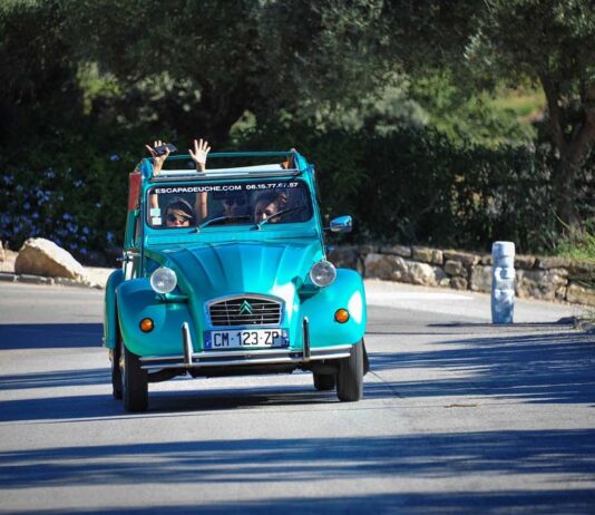 Little Knobbly Lives Again